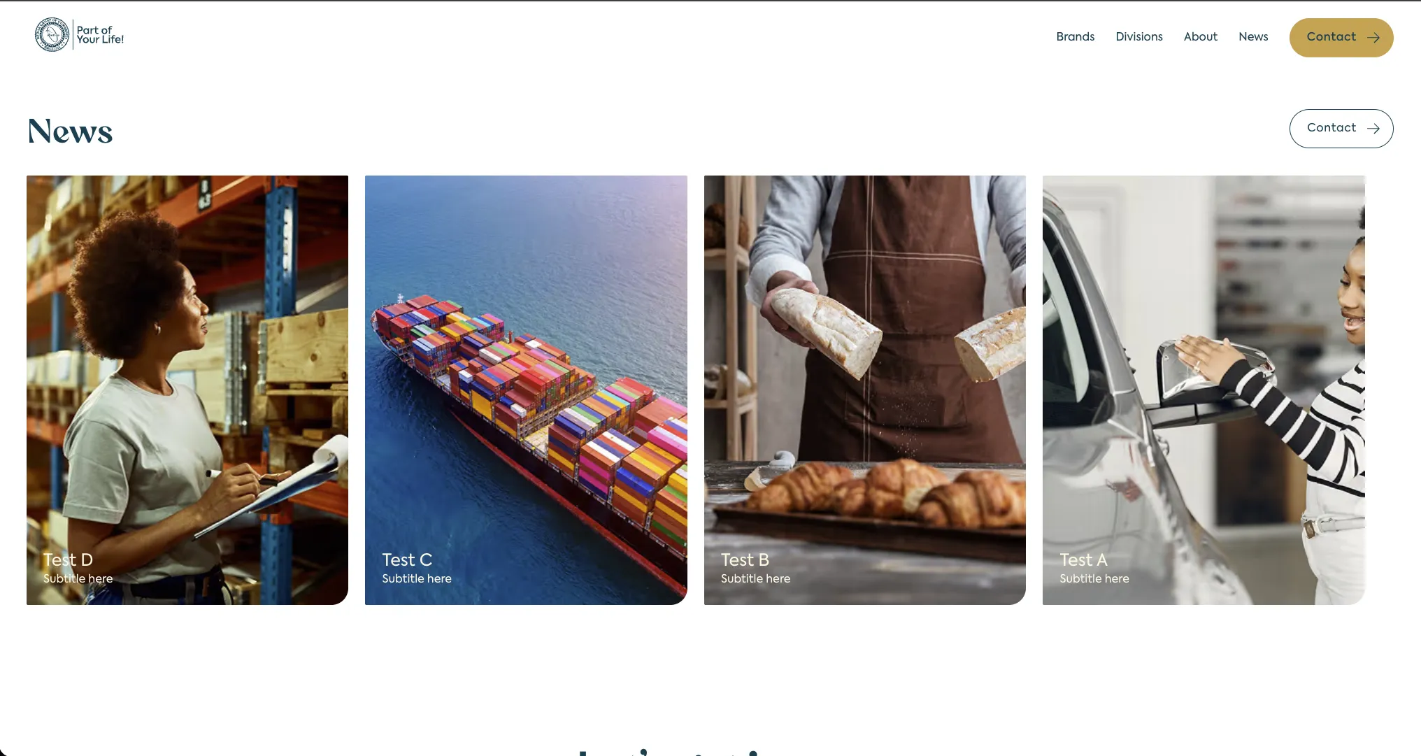 Rudisa International: New Corporate Website - 1